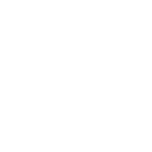 Prana Events logo